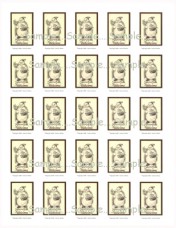 T19 - "Snowfolk Welcome" Cards